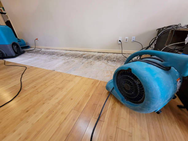 Professional Structural Drying technician working in Martin, OH